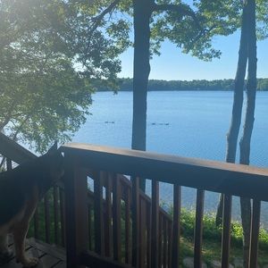 Meet your Posher, Caitlin